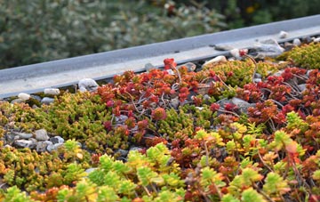 the cost of Upper Lyde green roof installation