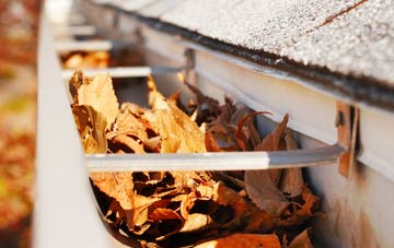 Upper Lyde gutter cleaning companies