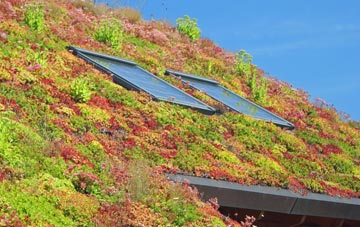 Upper Lyde living roof systems