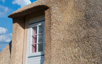 Upper Lyde thatch roof disadvantages